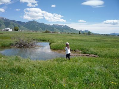 Paul's Granddaughter on Spring Creek near Afton